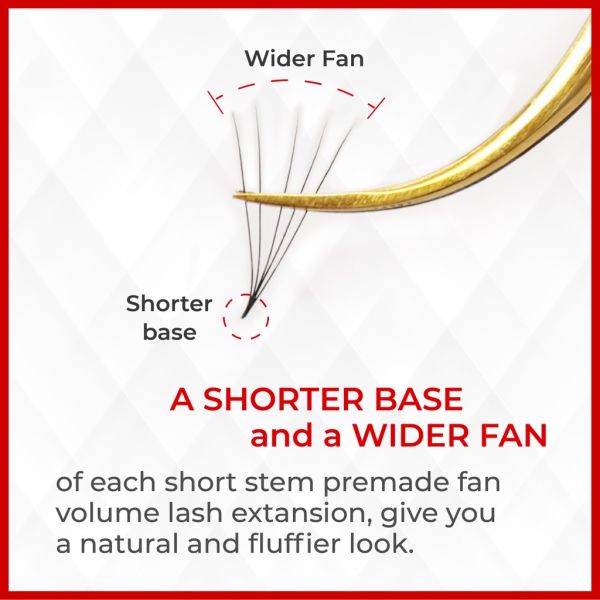 5D - 12 lines - C curl - Mixed