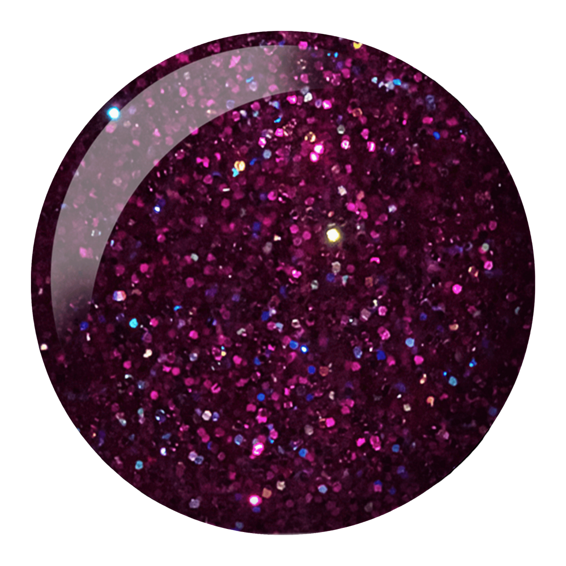 DND 564 Butterfly World, FL