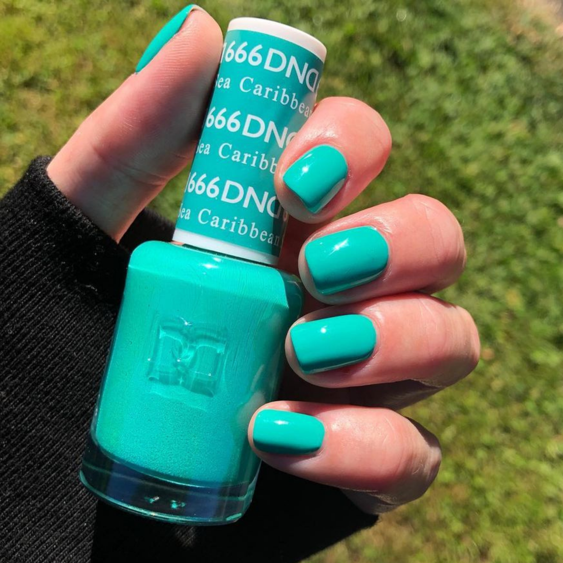 DND 666 Caribbean Sea