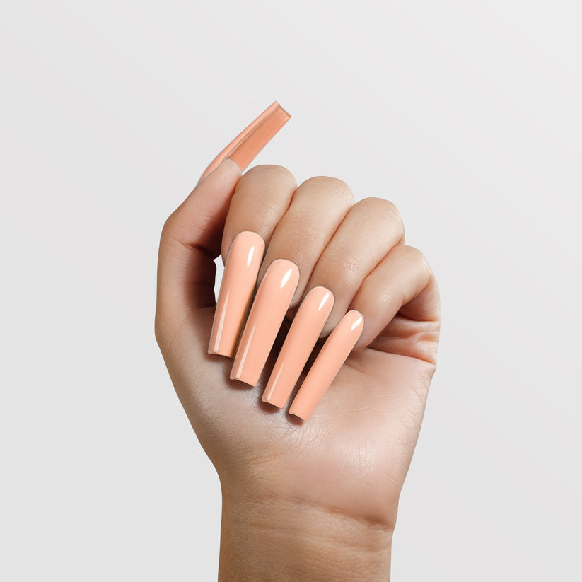 Chaun Legend Dip Powder Runway A2.129