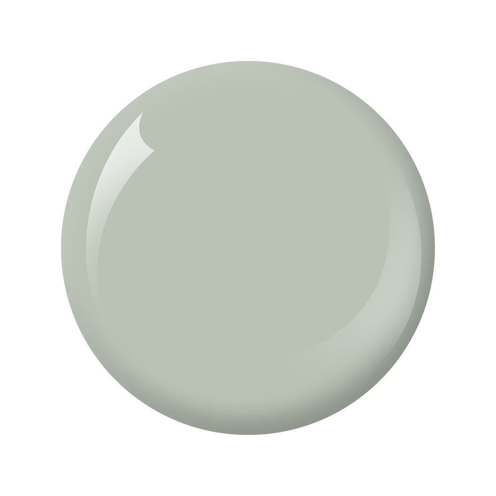 Nitro Dipping # 179 Collection