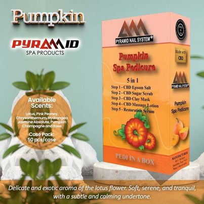 PYRAMID 5 STEPS - Pumkin - Case of 50